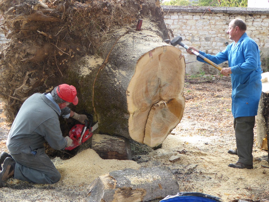 Dbit  la trononneuse